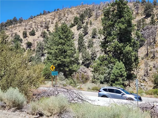 Wrightwood, CA 92397,2164 Outer Hwy 2 S