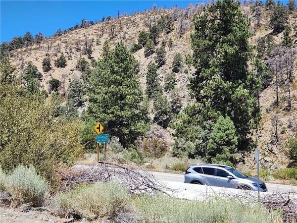 Wrightwood, CA 92397,2164 Outer Hwy 2 S