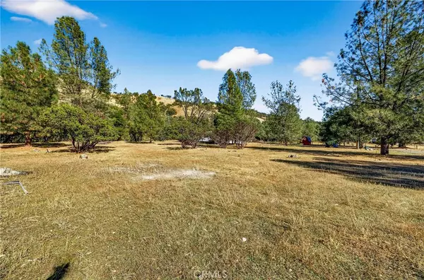 Clearlake Oaks, CA 95423,3245 Weeping Willow WAY