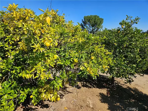 Wildomar, CA 92595,33340 Windmill