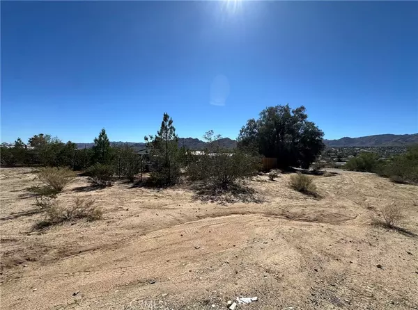 Joshua Tree, CA 92252,0 Begonia