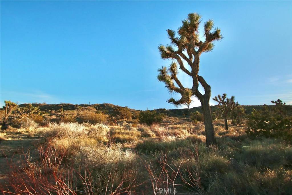 0 Mt View, Yucca Valley, CA 92284