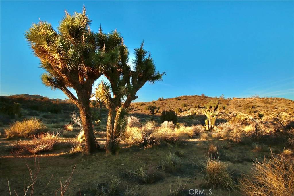 0 Onaga/Navajo, Yucca Valley, CA 92284