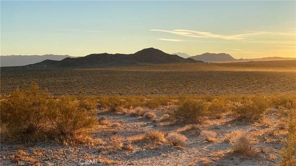 Joshua Tree, CA 92252,1000 Sunever RD