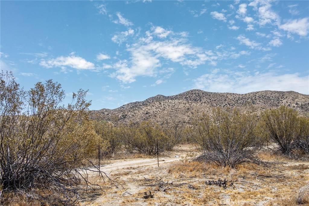 Morongo Valley, CA 92256,50253 Twentynine Palms HWY
