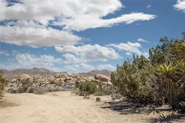 Pioneertown, CA 92268,888 Roadrunner Hut RD