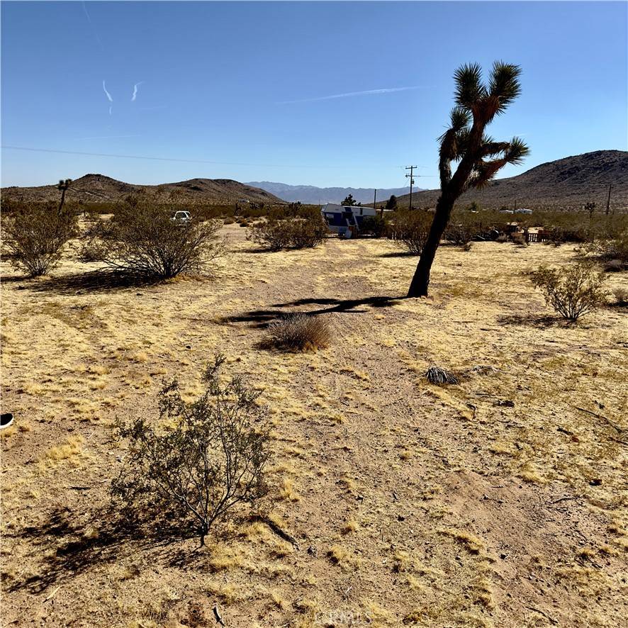 Joshua Tree, CA 92252,59787 Sharp Terrace