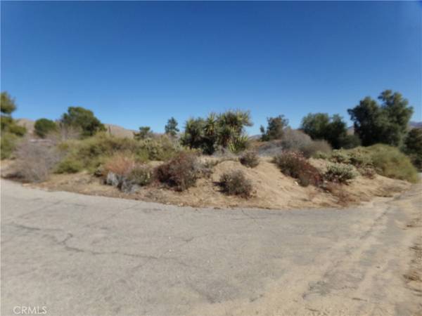 Morongo Valley, CA 92256,49110 Tamarisk DR