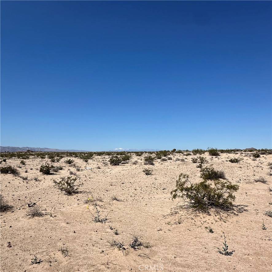 29 Palms, CA 92277,1234 Taco DR
