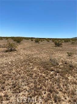 Landers, CA 92284,0 Fetlock