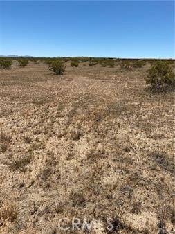 Landers, CA 92285,900 Fetlock Road