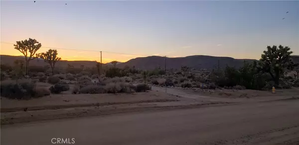 Yucca Valley, CA 92284,0 Canton ST