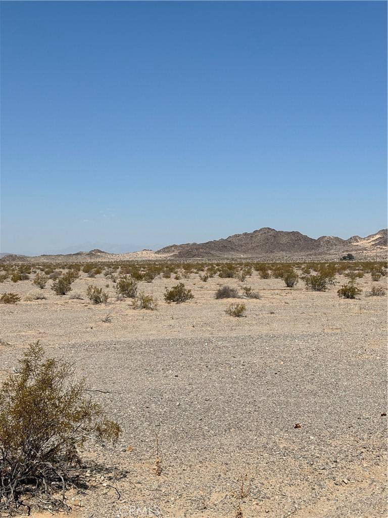 29 Palms, CA 92277,1 Monte Vista ST