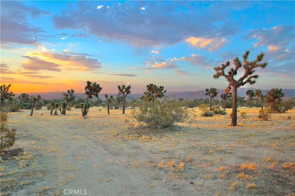 Yucca Valley, CA 92284,0 Forrest DR