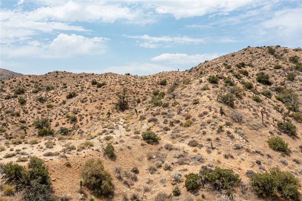 Yucca Valley, CA 92284,55705 Free Gold DR