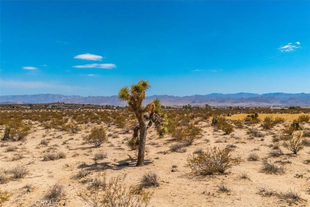 Joshua Tree, CA 92252,2183 Neptune AVE