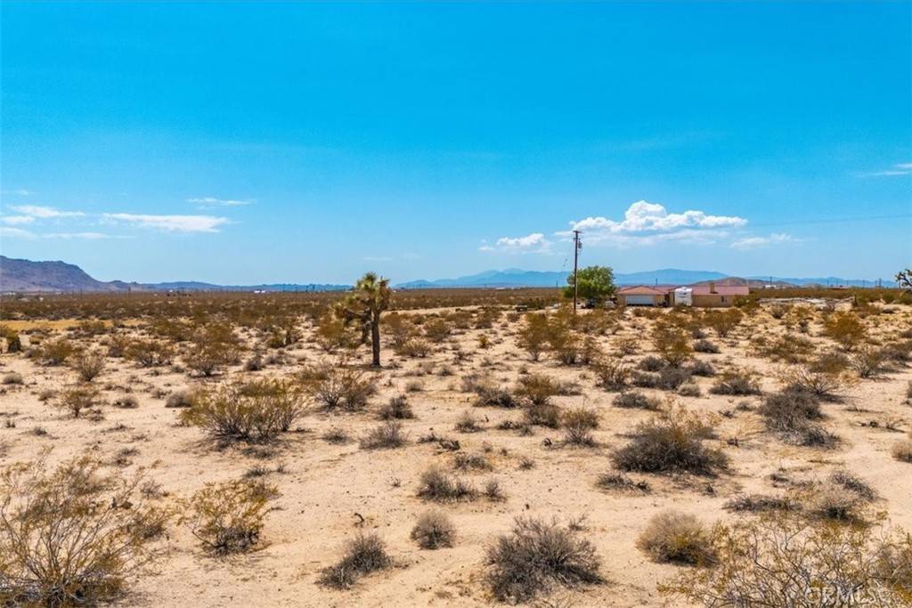 Joshua Tree, CA 92252,2183 Neptune AVE