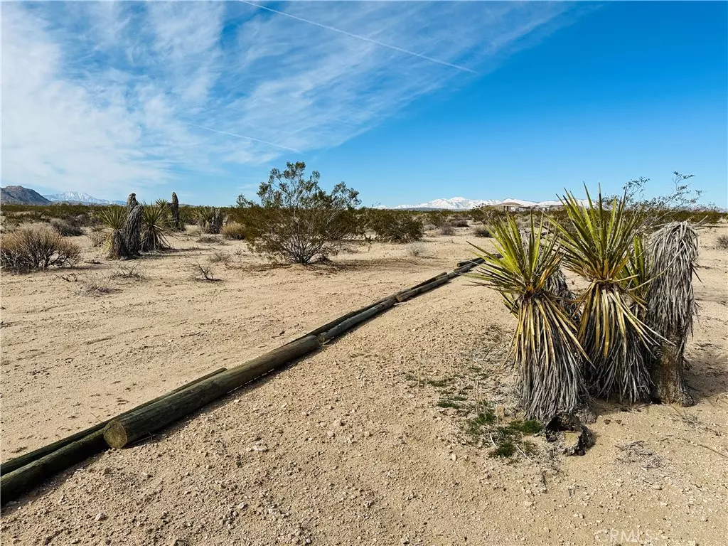 Joshua Tree, CA 92252,1234 Desert Lily ST