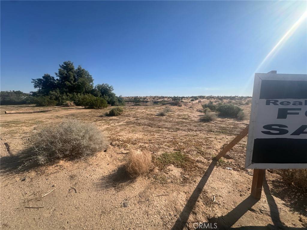 29 Palms, CA 92277,0 Adobe RD