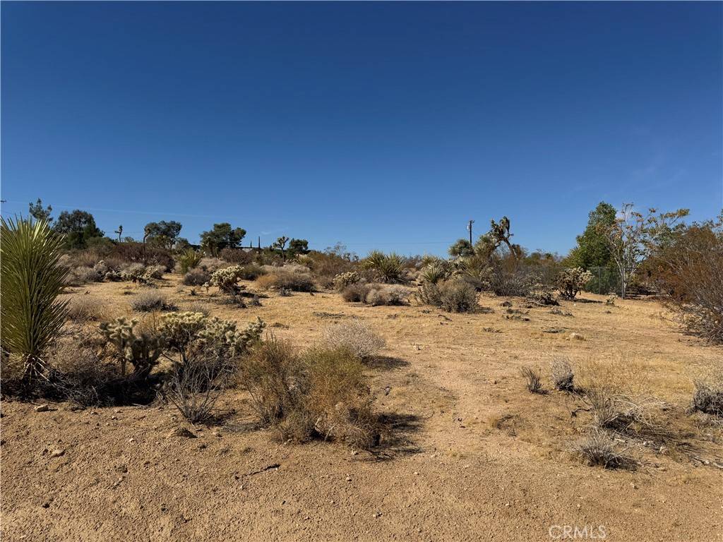 7218 Juniper RD, Joshua Tree, CA 92252