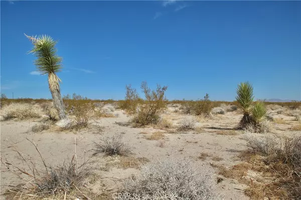 Joshua Tree, CA 92252,0 Moonlight Mesa AVE