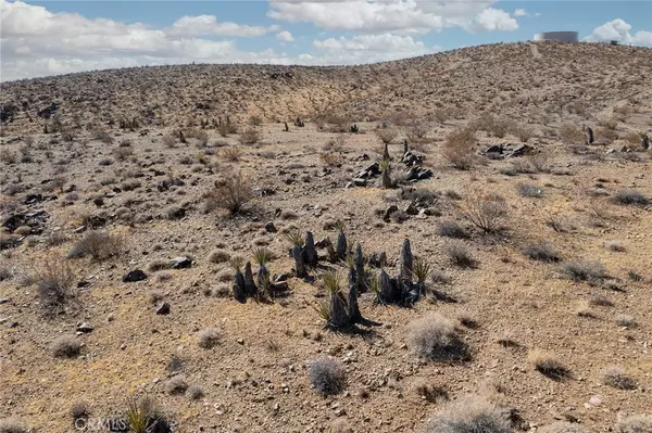 Yucca Valley, CA 92285,1000 Millie LN