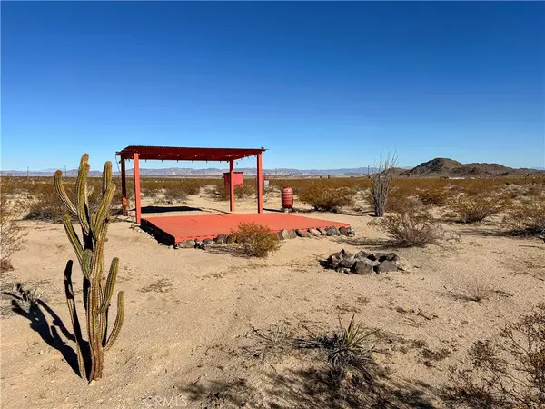 Joshua Tree, CA 92252,6 Desert Lily ST