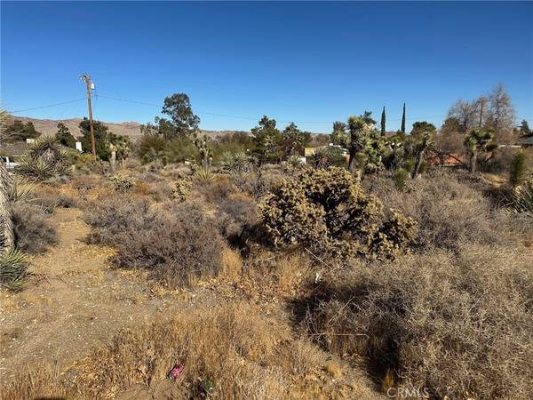 Yucca Valley, CA 92284,56434 Desert Gold DR