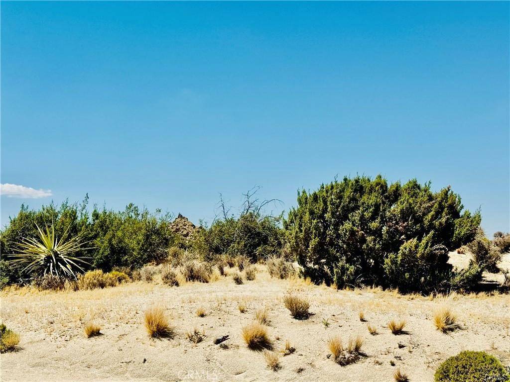 Yucca Valley, CA 92284,0 Cobalt RD