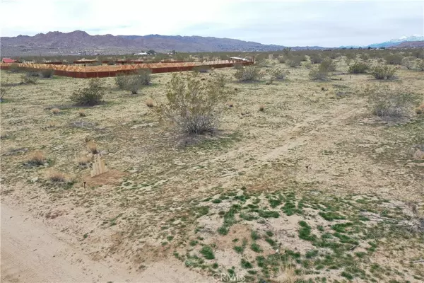 Joshua Tree, CA 92252,12345 Sunbeam AVE