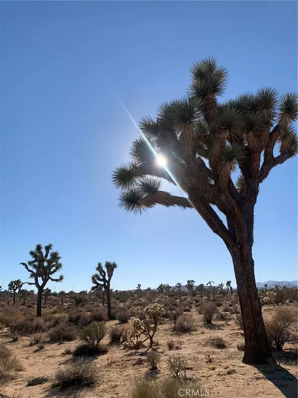Yucca Valley, CA 92284,57816 Pajara RD