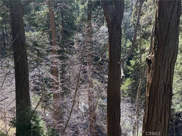 Lake Arrowhead, CA 92352,0 Sunderland CT