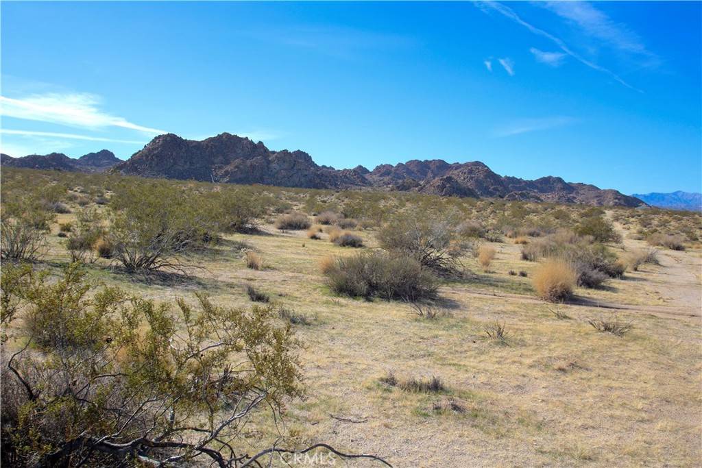 Joshua Tree, CA 92252,64647 Foothill DR