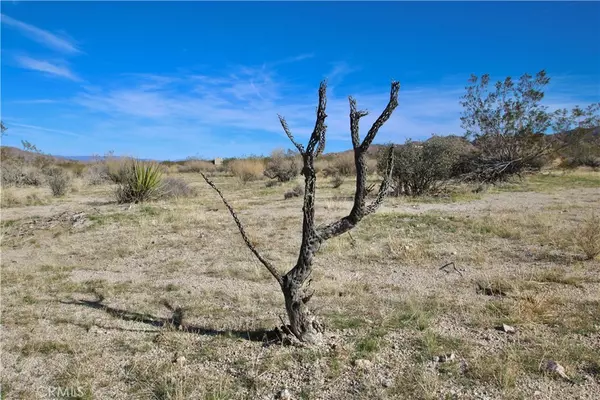 Joshua Tree, CA 92252,64755 Foothill DR