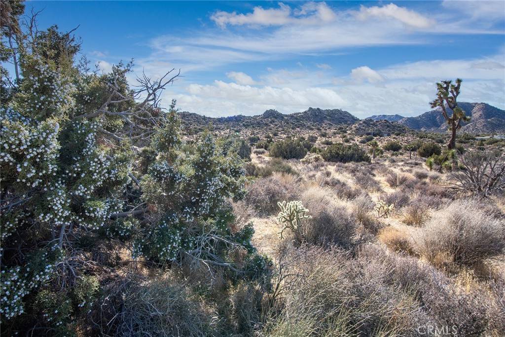 Yucca Valley, CA 92284,58947 Carmelita CIR