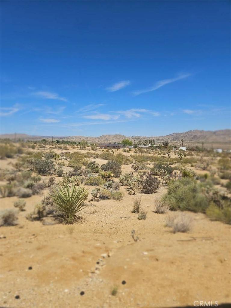 Joshua Tree, CA 92252,61391 Alta Vista DR