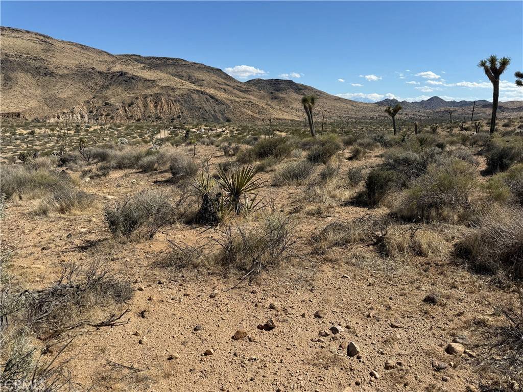 Pioneertown, CA 92284,55138 Pipes Canyon RD
