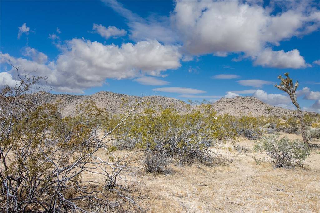 Joshua Tree, CA 92252,4444 Skyline DR