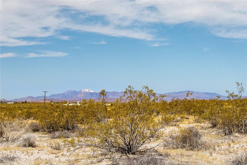 Joshua Tree, CA 92252,2830 Polaris RD