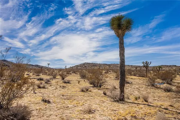 Landers, CA 92285,4 Burke RD