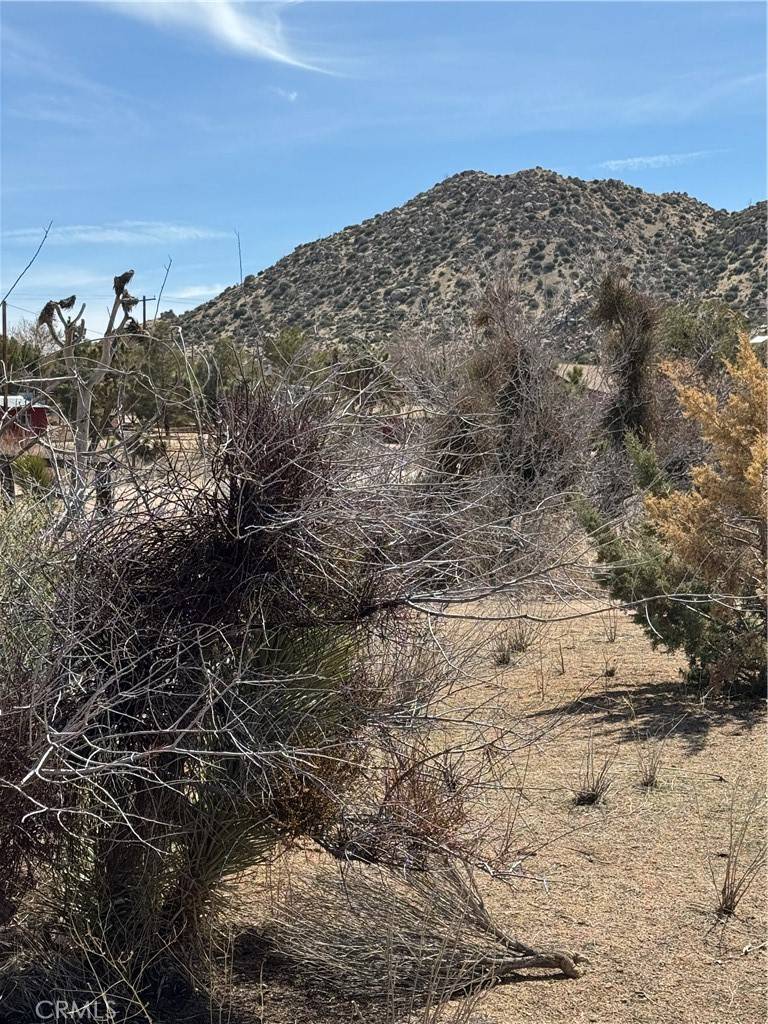 Pioneertown, CA 92268,0 Minna Gombell Lane