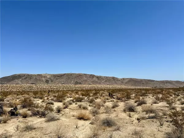 Joshua Tree, CA 92252,67000 29 Palms HWY