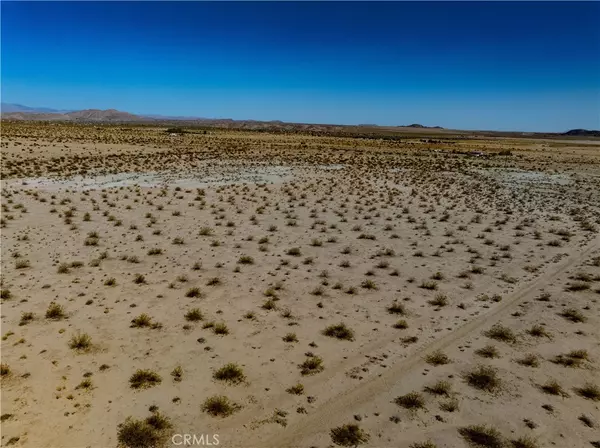 Joshua Tree, CA 92252,1142 Fran Lou LN