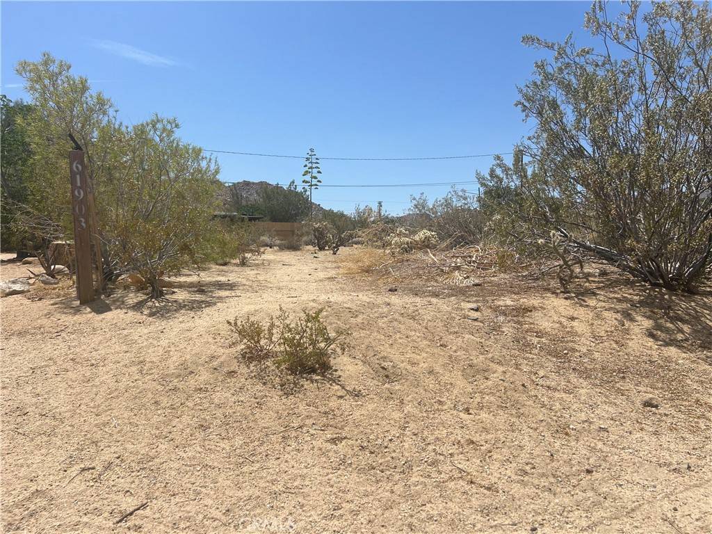 Joshua Tree, CA 92252,61891 El Reposo CIR