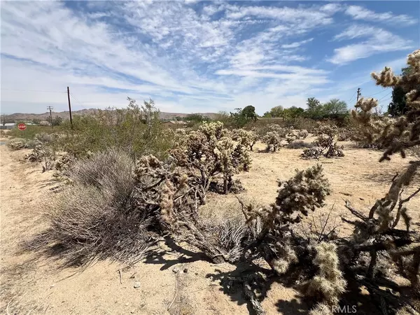 Joshua Tree, CA 92252,61891 El Reposo CIR