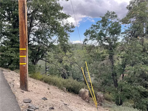 Green Valley Lake, CA 92341,33462 Angeles DR