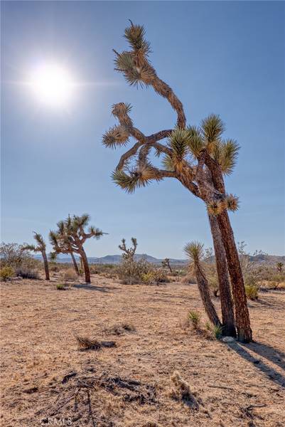 107 Juniper RD, Joshua Tree, CA 92252