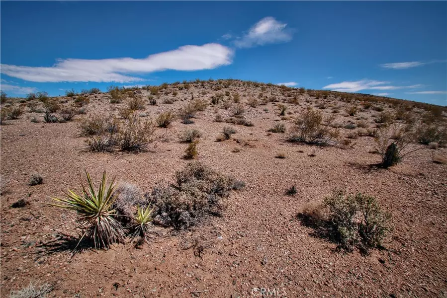 60024 La Brisa DR, Joshua Tree, CA 92252