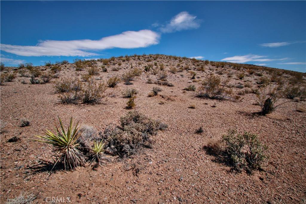 60024 La Brisa DR, Joshua Tree, CA 92252