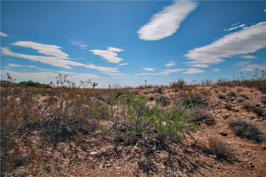 Joshua Tree, CA 92252,60024 La Brisa DR